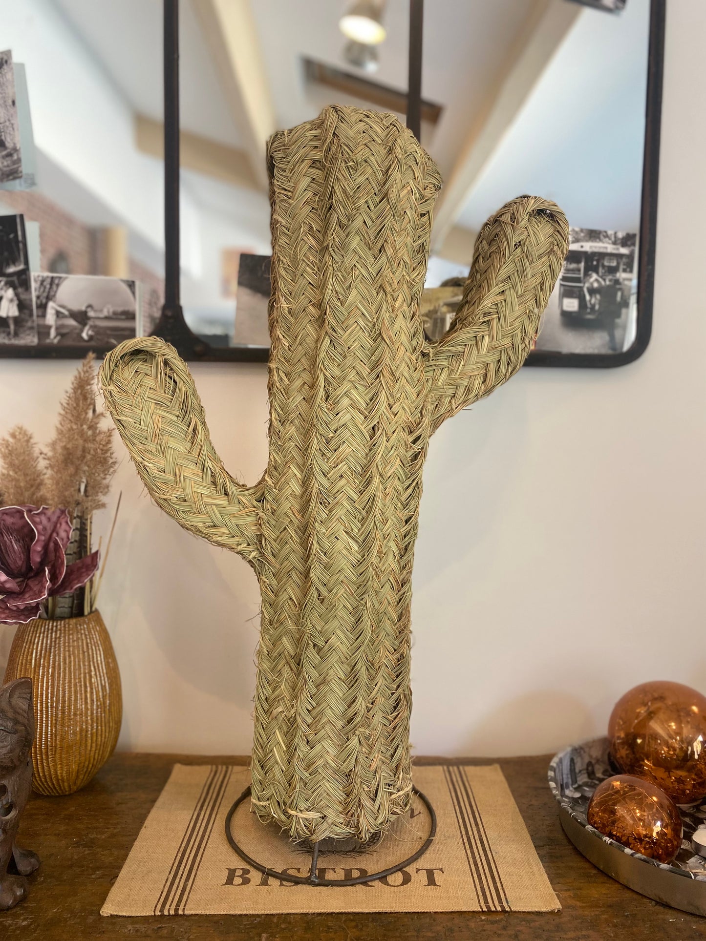 Cactus décoratif