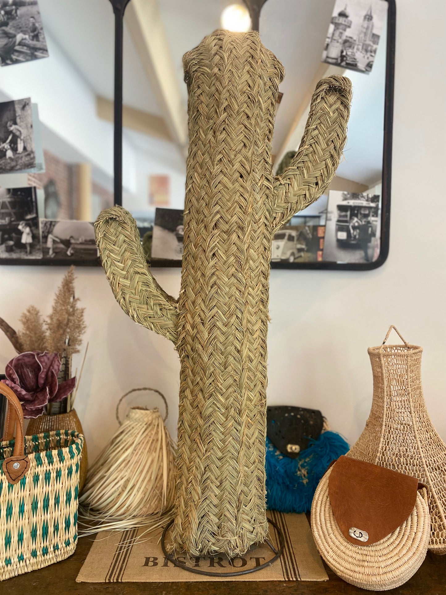 Cactus décoratif